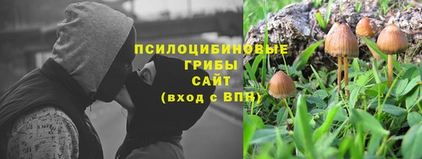 прущие крисы Абинск