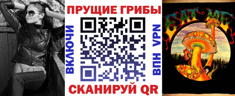 hydra ТОР  Кедровый  Галлюциногенные грибы Cubensis  купить наркоту 